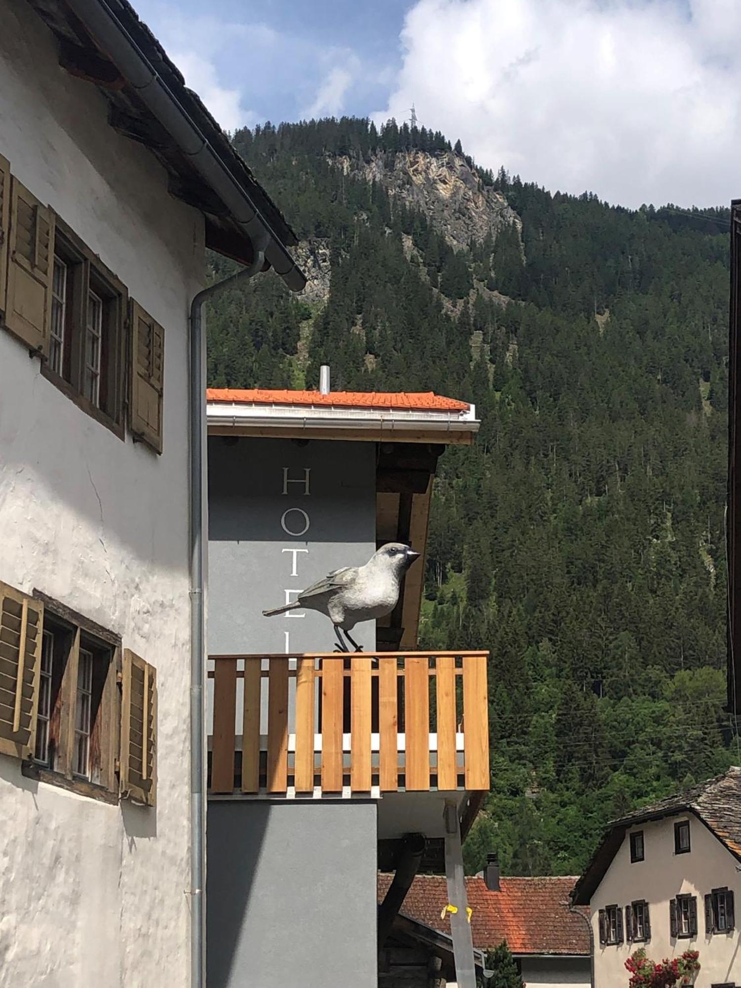 Appart Hotel Pitschonia Self Check-In Andeer Exterior foto